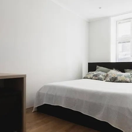 Large Modern In Center! Apartment